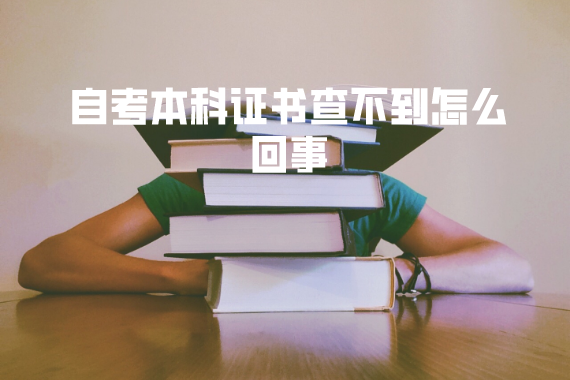 湖北经济学院自考本科证书查不到怎么回事