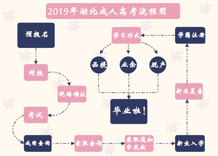 2019年湖北成人高考具体流程
