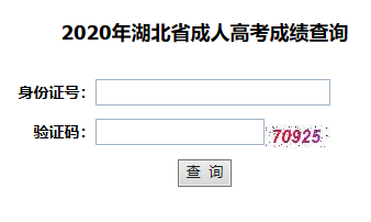 2020年湖北函授大专成绩查询入口