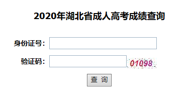 2020年湖北省武汉市成人高考成绩查询入口：湖北省教育考试院