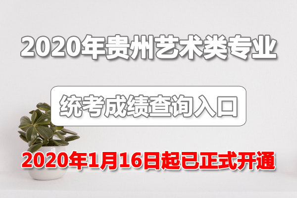 2020年贵州艺考成绩查询系统入口已开通（附合格分数线）图1