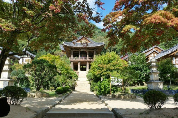 韩国留学长短期签证区别解析图1