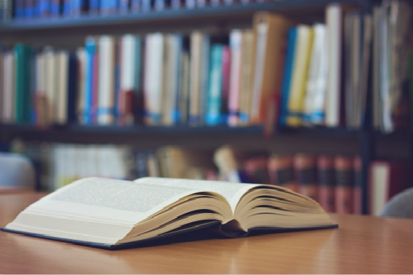 新西兰留学大学艺术专业解读图1