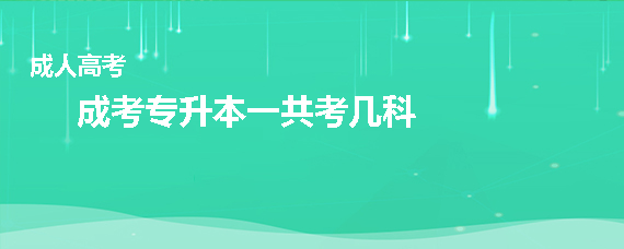 成考专升本一共考几科