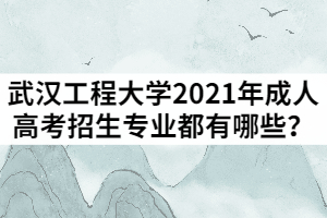 武汉工程大学2021年成人高考招生专业都有哪些？