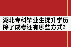 湖北专科毕业生提升学历除了成考还有哪些方式？