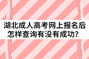2021年湖北成人高考网上报名后怎样查询有没有成功？