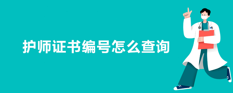 护师证书编号怎么查询图1
