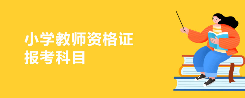 小学教师资格证报考科目