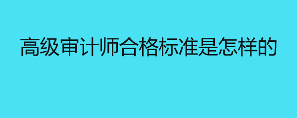 高级审计师合格标准是怎样的