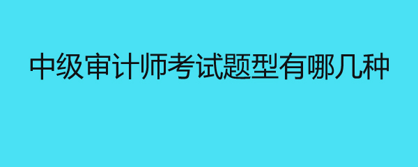中级审计师考试题型有哪几种