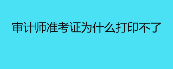 审计师准考证为什么打印不了
