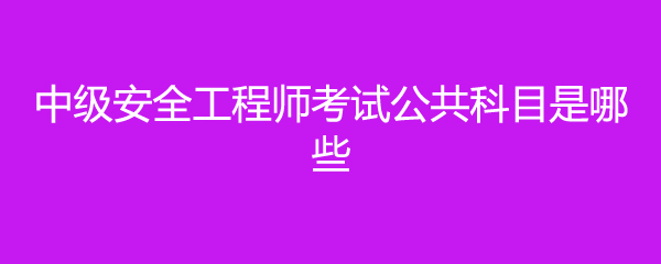 中级安全工程师考试公共科目是哪些