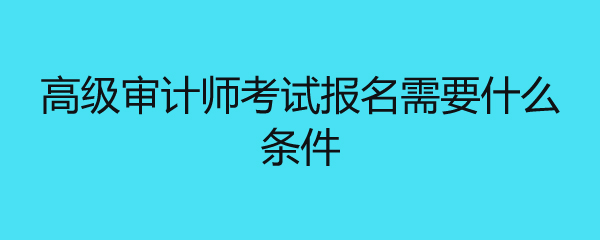 高级审计师考试报名需要什么条件