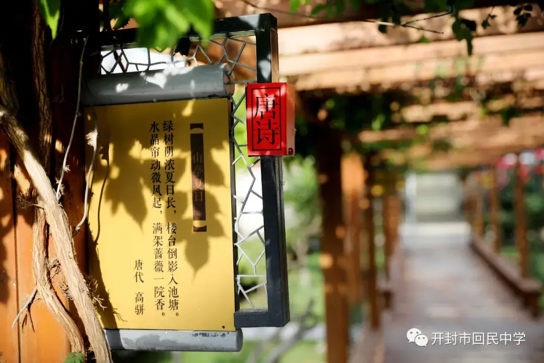 开封高中教师名单_开封高中师资力量_开封市三十三中学教师队伍