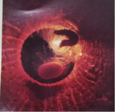 比喻培养人才的句子_比喻人才优秀培养教师的词语_比喻教师培养许多优秀人才