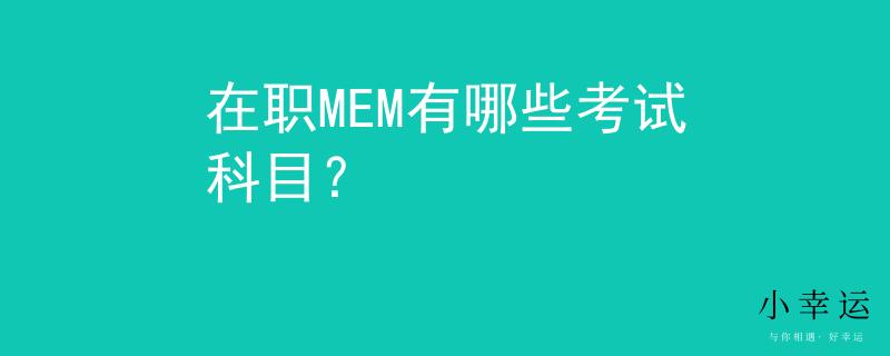 在职MEM有哪些考试科目？