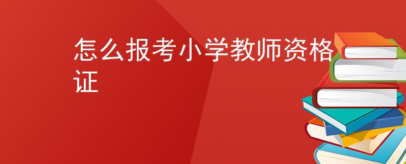怎么报考小学教师资格证