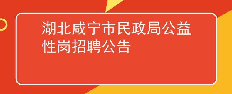 湖北咸宁市民政局公益性岗招聘公告