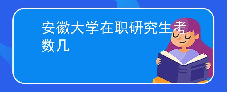 安徽大学在职研究生考数几