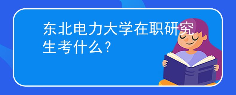 东北电力大学在职研究生考什么？