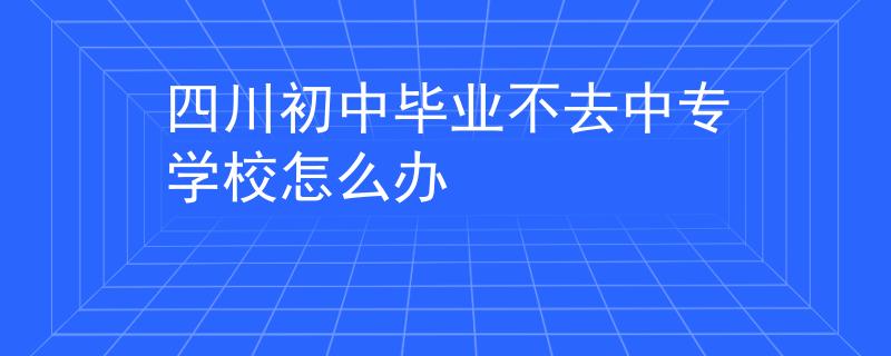 四川初中毕业不去中专学校怎么办