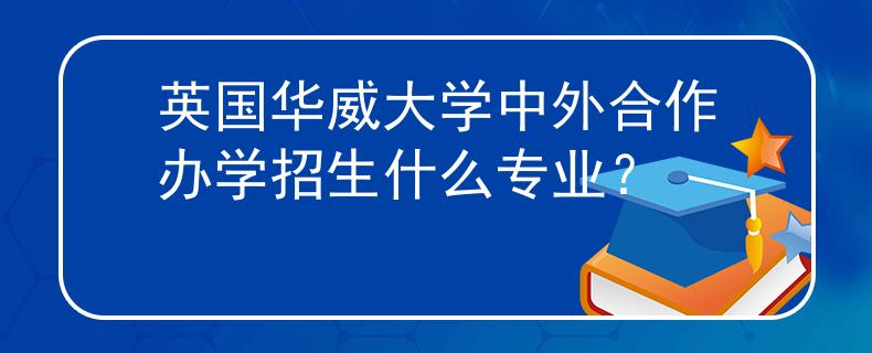 英国华威大学中外合作办学招生什么专业？