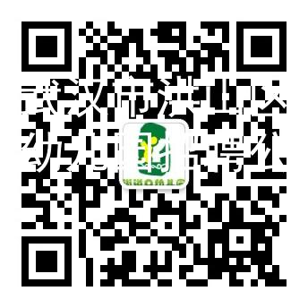 湖北武汉市洪山区两所公办幼儿园招聘公告