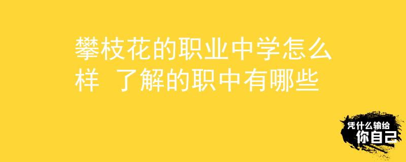 攀枝花的职业中学怎么样 了解的职中有哪些