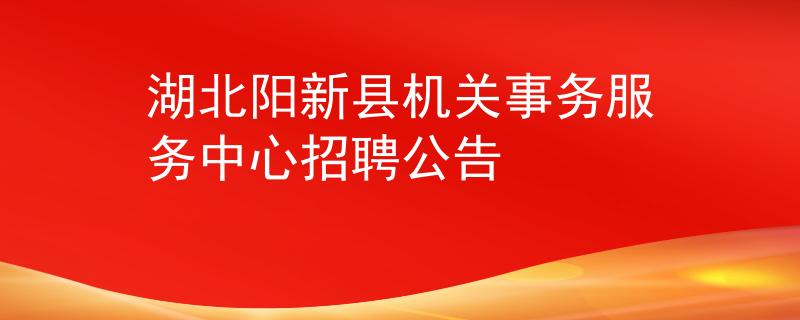 湖北阳新县机关事务服务中心招聘公告