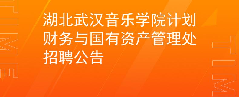 湖北武汉音乐学院计划财务与国有资产管理处招聘公告