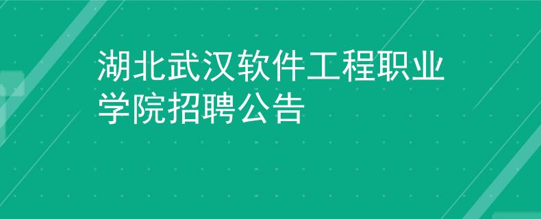 湖北武汉软件工程职业学院招聘公告