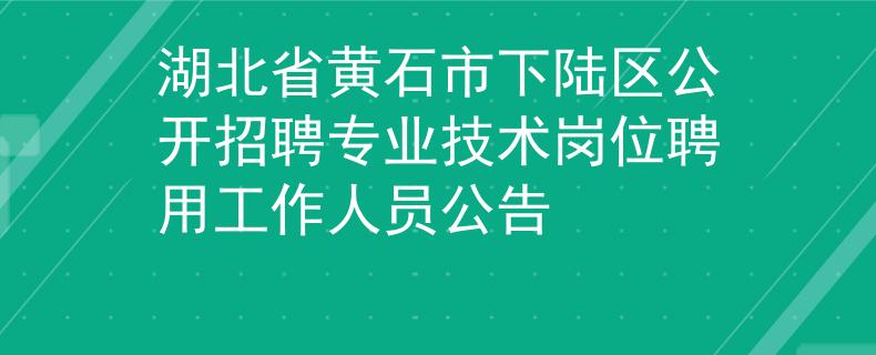 湖北省黄石市下陆区公开招聘专业技术岗位聘用工作人员公告