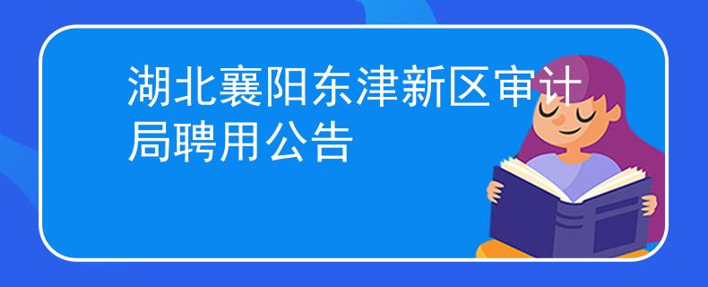 湖北襄阳东津新区审计局聘用公告