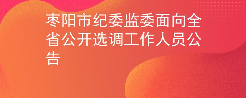 枣阳市纪委监委面向全省公开选调工作人员公告