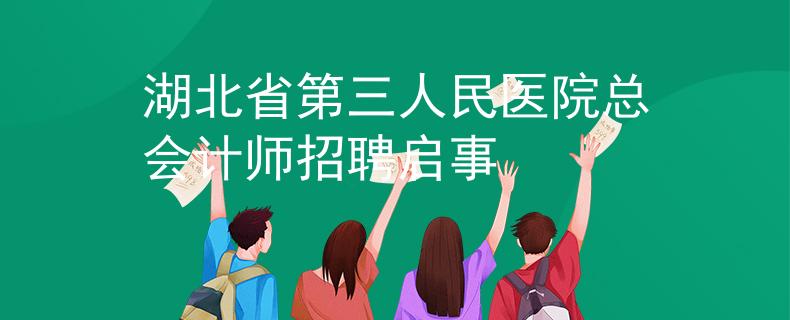 湖北省第三人民医院总会计师招聘启事