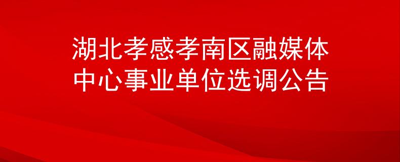 湖北孝感孝南区融媒体中心事业单位选调公告