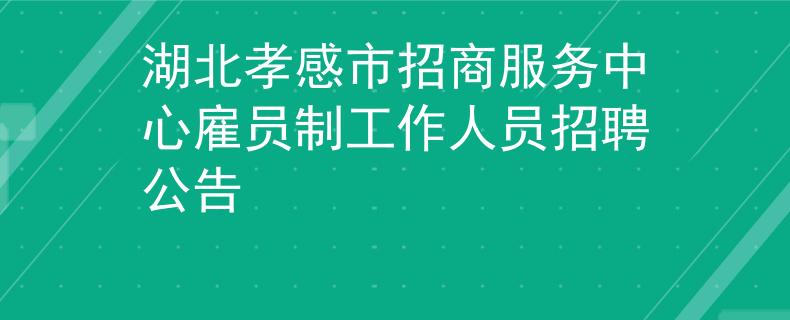 湖北孝感市招商服务中心雇员制工作人员招聘公告