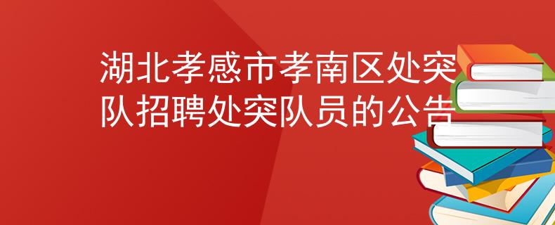 湖北孝感市孝南区处突队招聘处突队员的公告