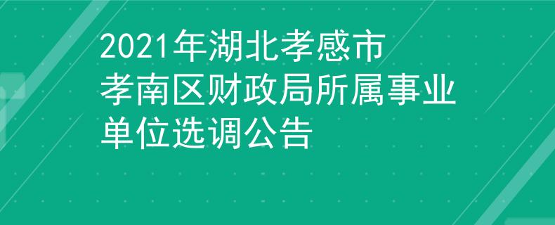 2021年湖北孝感市孝南区财政局所属事业单位选调公告