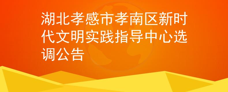 湖北孝感市孝南区新时代文明实践指导中心选调公告