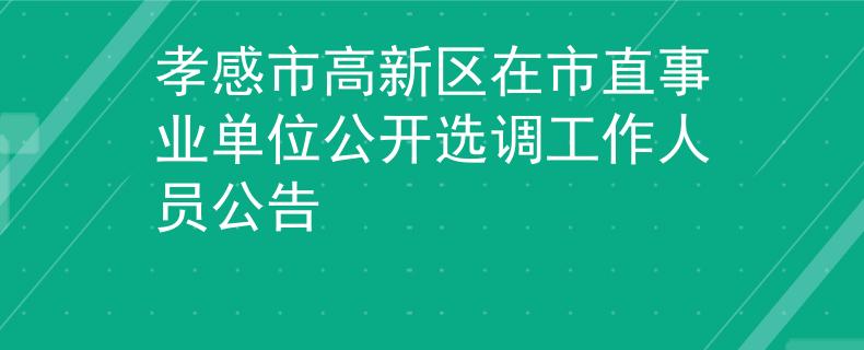 孝感市高新区在市直事业单位公开选调工作人员公告
