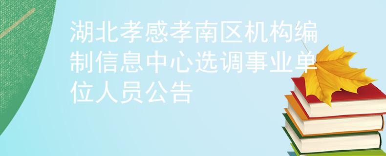 湖北孝感孝南区机构编制信息中心选调事业单位人员公告