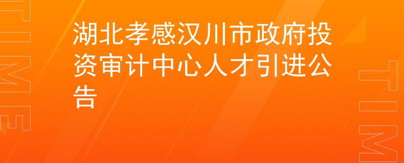 湖北孝感汉川市政府投资审计中心人才引进公告