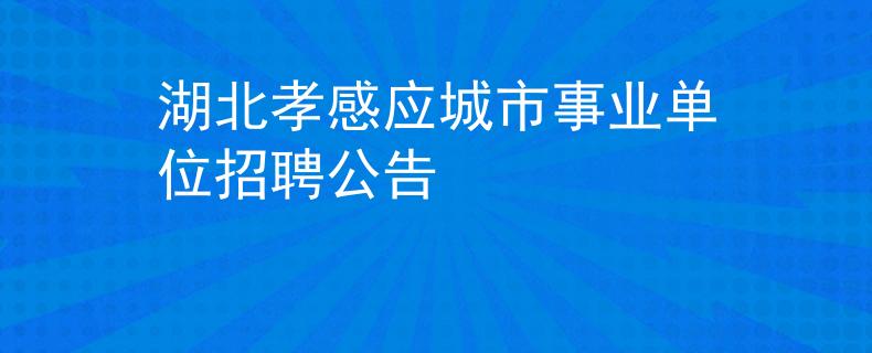 湖北孝感应城市事业单位招聘公告