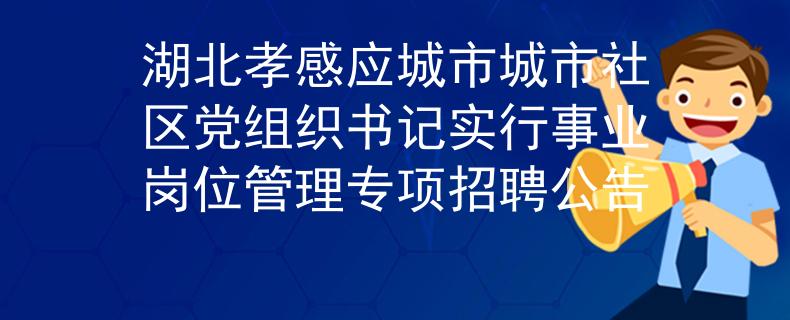 湖北孝感应城市城市社区党组织书记实行事业岗位管理专项招聘公告