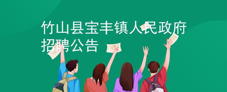 竹山县宝丰镇人民政府招聘公告