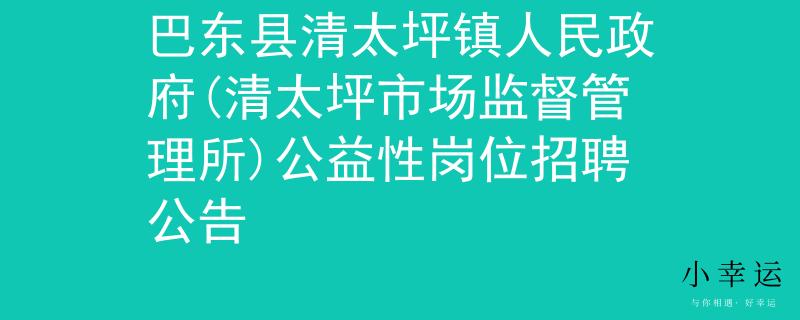 巴东县清太坪镇人民政府(清太坪市场监督管理所)公益性岗位招聘公告