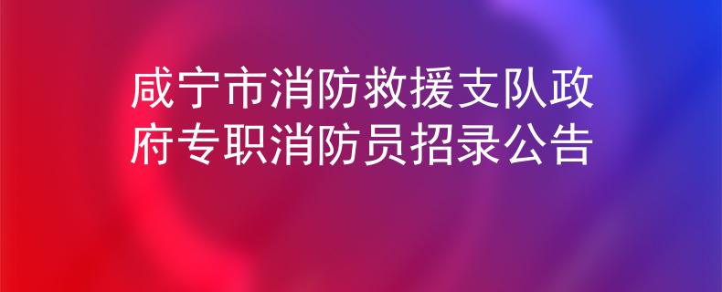 咸宁市消防救援支队政府专职消防员招录公告