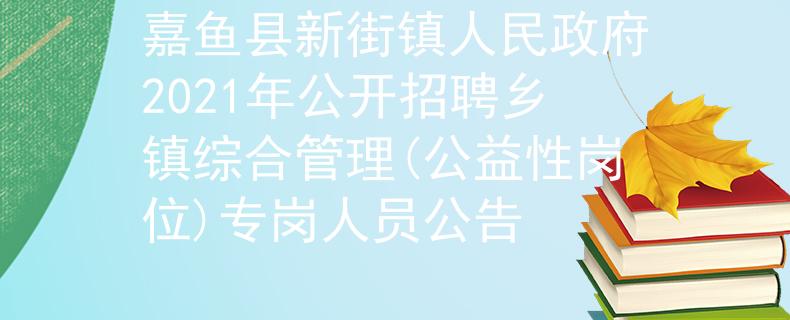 嘉鱼县新街镇人民政府2021年公开招聘乡镇综合管理(公益性岗位)专岗人员公告